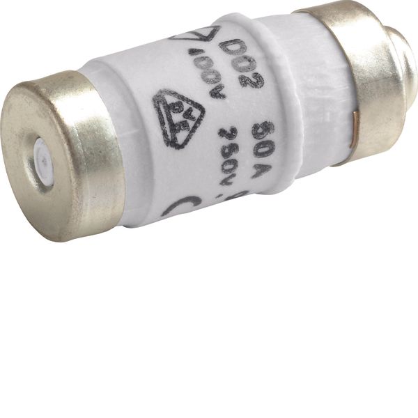 Fuse D02 E18 50A 400V gG with indicator image 1