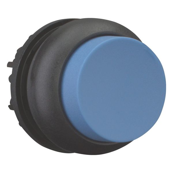 Pushbutton, RMQ-Titan, Extended, maintained, Blue, Blank, Bezel: black image 13