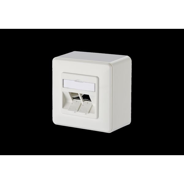 Modul wall outlet surface mounted 2 port unequipped pure white 43 mm image 2