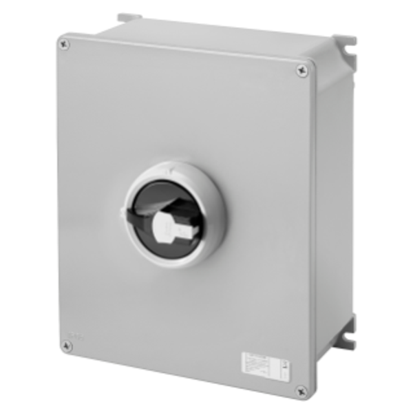 ROTATORY ISOLATOR - HP- SURFACE-MOUNTING - COMMAND - METAL BOX - 125A 4P - LOCKABLE BLACK KNOB - IP66 image 1