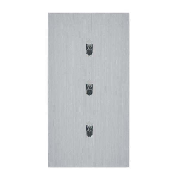 Art d'Arnould Epure universe three two-way switch or switch - brushed steel image 1