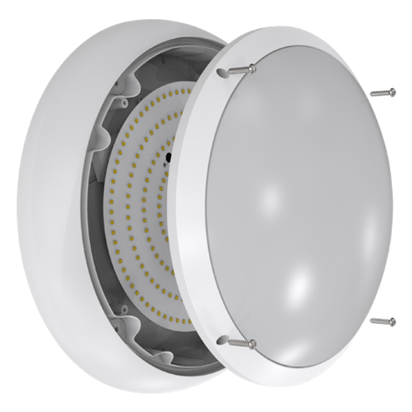 ARX Anti-Ligature Bulkhead CCT White Switch Dim image 4