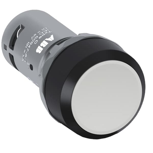 CP2-10R-01 Pushbutton image 7