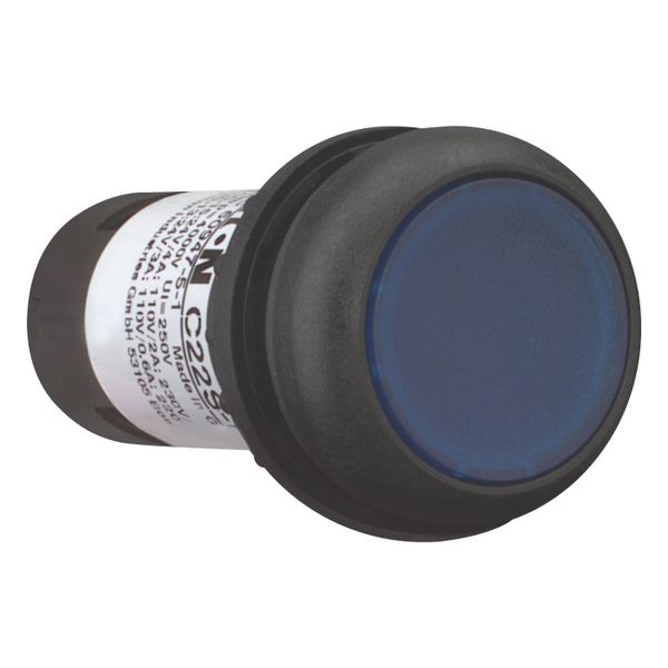 Illuminated pushbutton actuator, Flat, momentary, 1 N/O, Screw connection, LED Blue, Blue, Blank, 24 V AC/DC, Bezel: black image 13