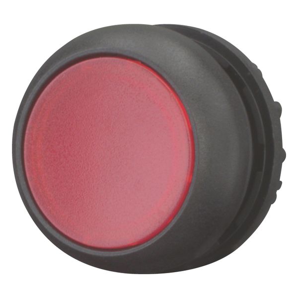 Illuminated pushbutton actuator, RMQ-Titan, Flush, maintained, red, Blank, Bezel: black image 9