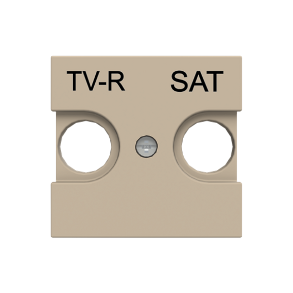 N2250.1 CV Cover plate for TV-R/SAT - 2M - Champagne image 1