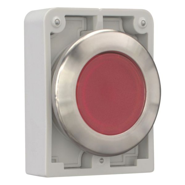 Illuminated pushbutton actuator, RMQ-Titan, flat, momentary, red, blank, Front ring stainless steel image 7