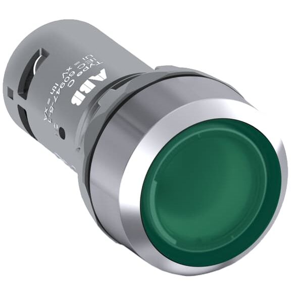 CP1-31G-10 Pushbutton image 2