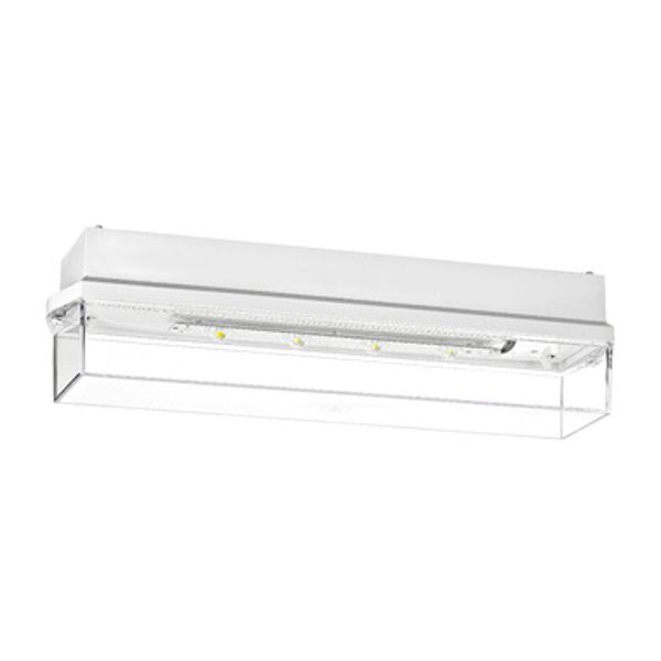 Emergency luminaire KWI clear 4x1W ERT-LED 230V EL, ceiling image 1