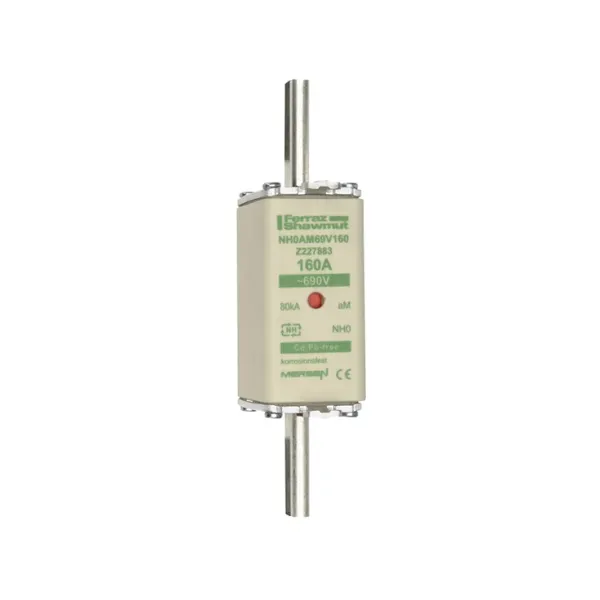 Fuse-link NH0 aM 690VAC 160A live tags Double indicator image 2