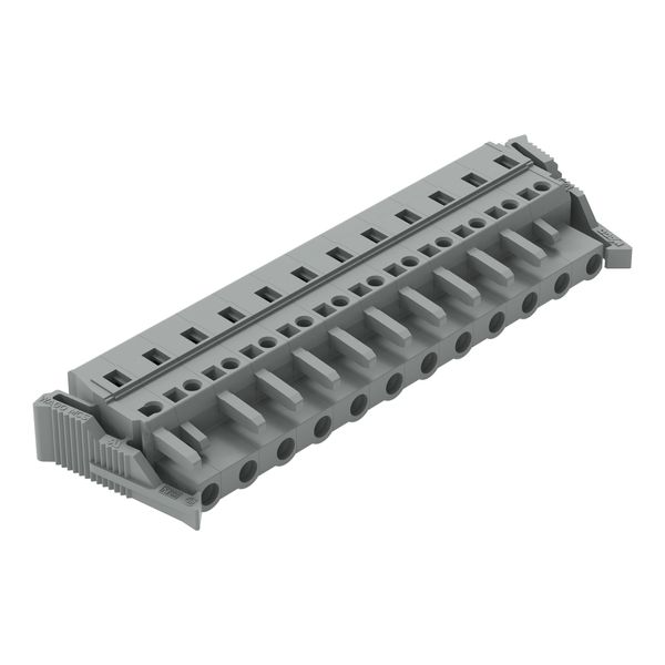 1-conductor female connector CAGE CLAMP® 2.5 mm² gray image 1