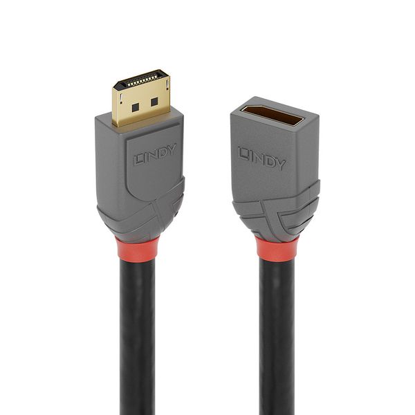 1m DisplayPort 1.4  Extension Cable, Anthra Line DP Male to Female image 1