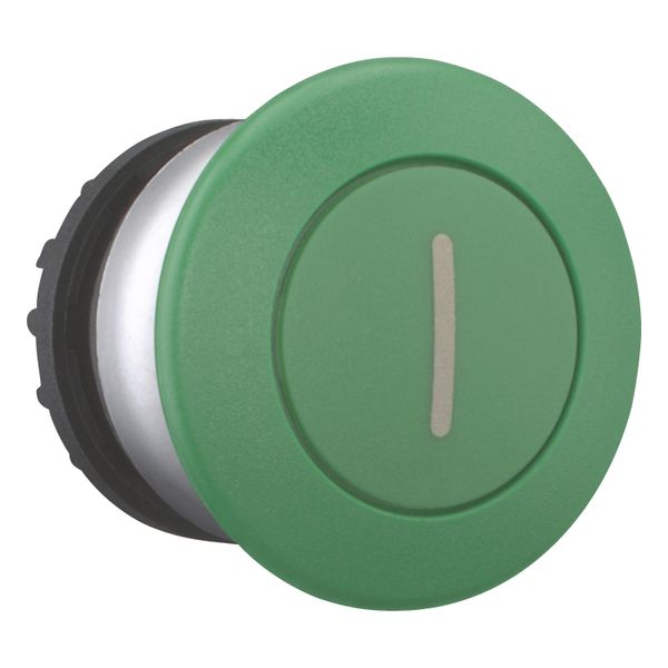 Mushroom actuator, RMQ-Titan, Mushroom, maintained, Mushroom green, green, inscribed, Bezel: titanium image 14