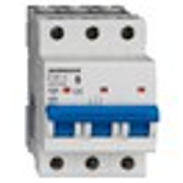 Miniature Circuit Breaker (MCB) AMPARO 10kA, D 25A, 3-pole image 9