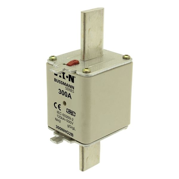 Fuse-link, LV, 300 A, AC 500 V, NH2, gL/gG, IEC, dual indicator, live gripping lugs image 10