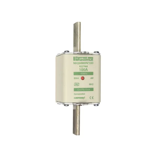 Fuse-link NH2 aM 690VAC 100A live tags Double indicator image 2