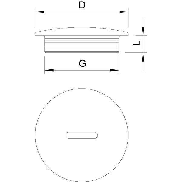 108 PG13.5 Screw plug  PG13,5 image 2