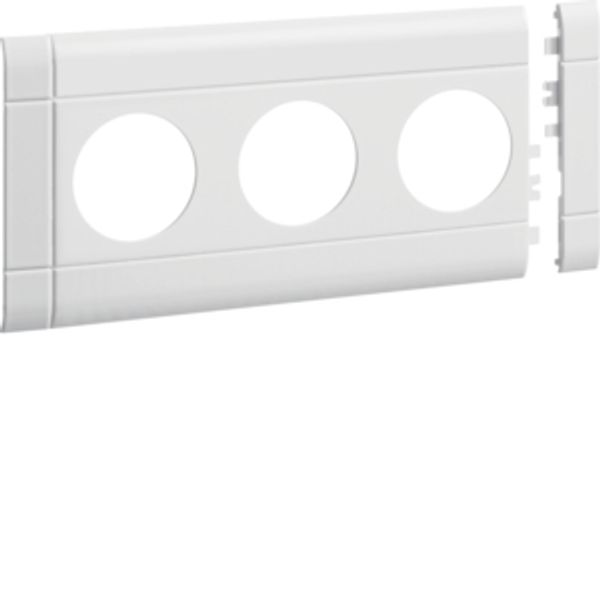 Frontplate 3-gang socket BRH 100 tw image 1