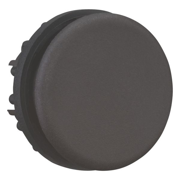 Blanking plug, black, large packaging image 12