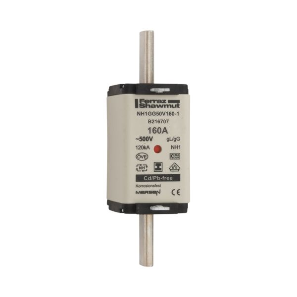 Fuse-link NH1 gG 500VAC 160A isolated tags Double indicator image 1