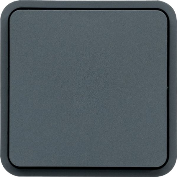 CUBYKO BUTTON ASSEMBLY/NO IP55 GRAY image 1