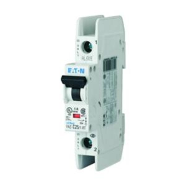 Miniature circuit breaker (MCB), 30 A, 1p, characteristic: D image 5