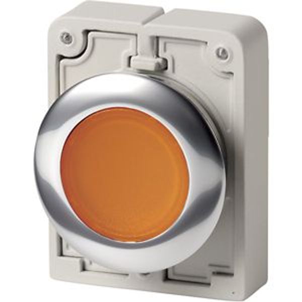 Illuminated pushbutton actuator, RMQ-Titan, Flat, maintained, orange, Blank, Metal bezel image 2