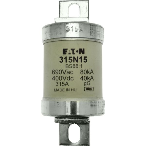 Fuse-link, low voltage, 315 A, AC 660 V, BS88, 49 x 120 mm, gL/gG, BS image 16