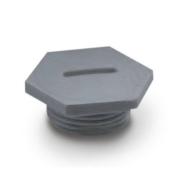 CAPS  SIB GREY M16x1.5 image 5