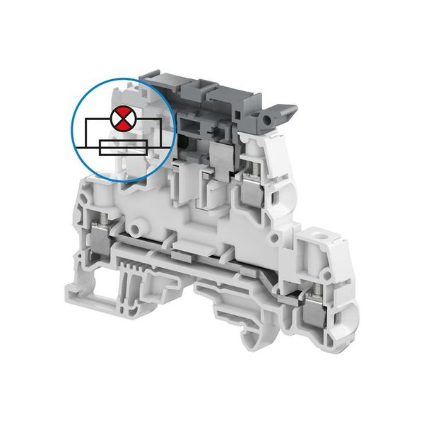 ZS4-D2-SF1-R1 SCREW DOUBLE DECK - GREY image 1