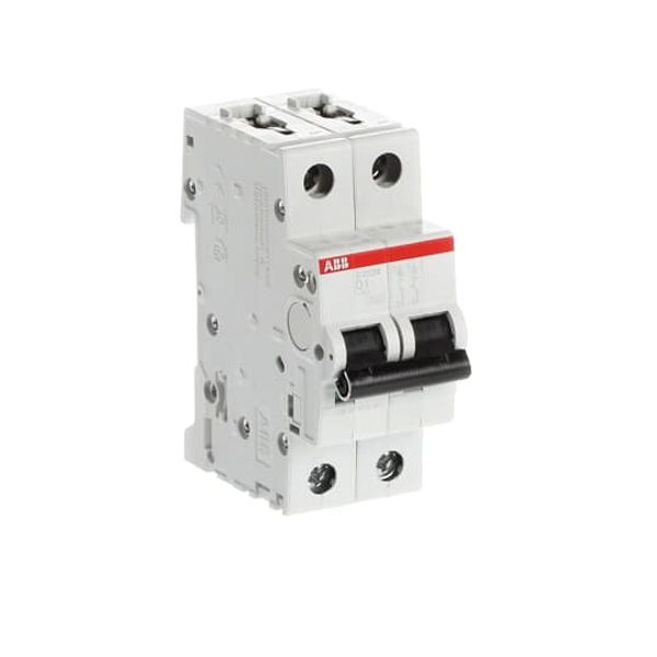 S202M-D1 Miniature Circuit Breaker - 2P - D - 1 A image 5