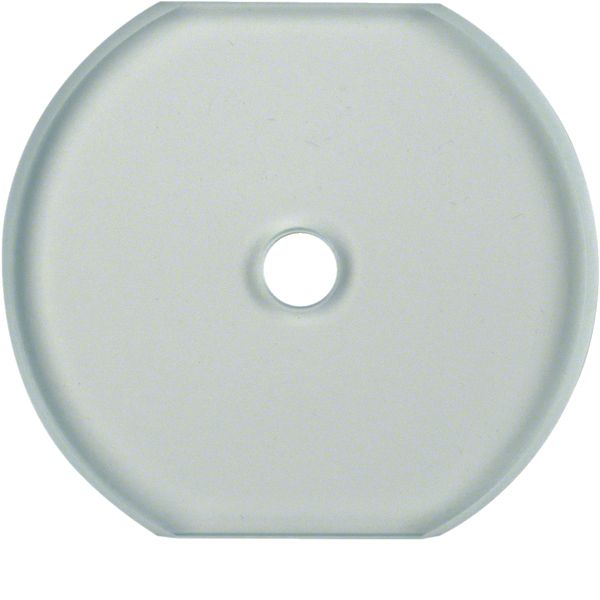 Glass cover centre plate f. rot. switch/spring-return push-button, cle image 3