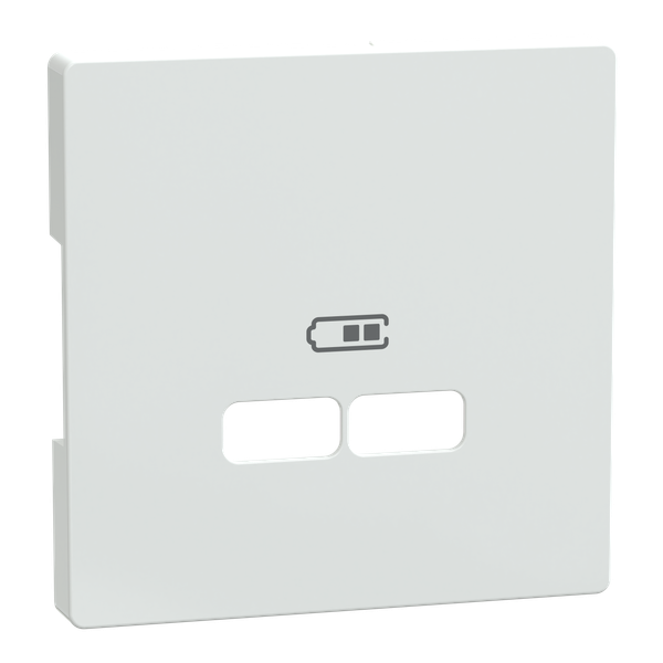 System Design central plate USB charger lotus white image 5