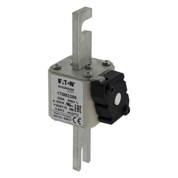 FUSE 250A 690V 1*KW/110 AR. image 13