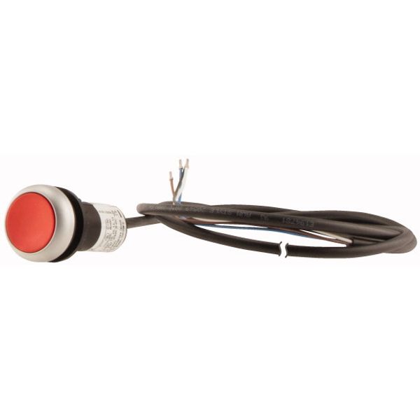 Pushbutton, classic, flat, maintained, 1 N/C, red, cable (black) with non-terminated end, 4 pole, 1 m image 3