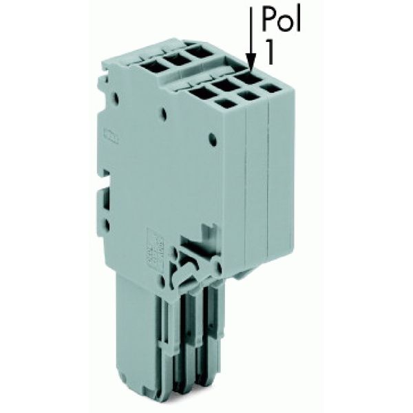 2-conductor female connector Push-in CAGE CLAMP® 1.5 mm² gray image 2