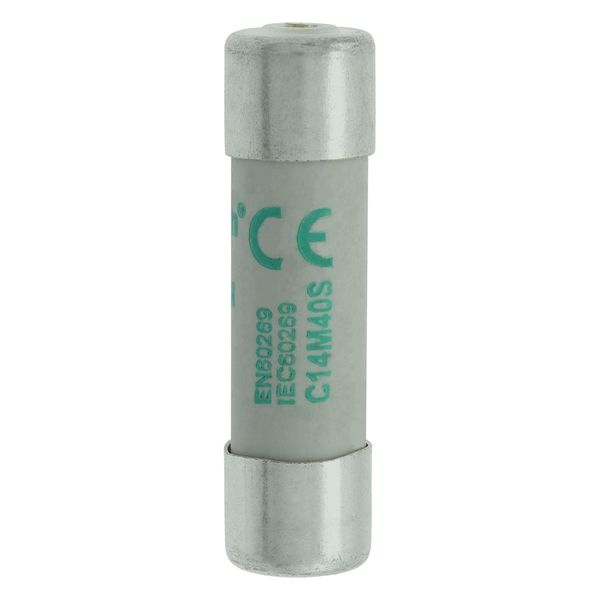 Fuse-link, LV, 40 A, AC 500 V, 14 x 51 mm, aM, IEC, with striker image 9