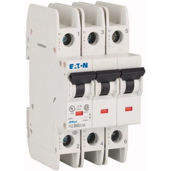 Miniature circuit breaker (MCB), 40 A, 3p, characteristic: B image 3