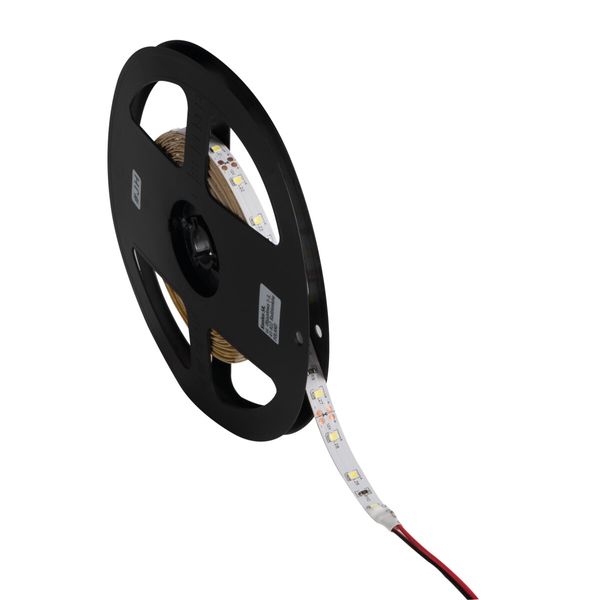 LEDS-B 4.8W/M IP00-CW LED tape image 2