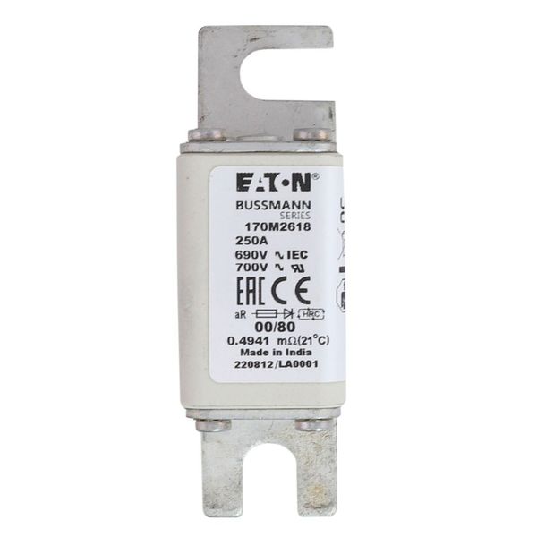 Fuse-link, high speed, 250 A, AC 690 V, DIN 00, 30 x 51 x 100 mm, aR, DIN, IEC, single indicator image 20