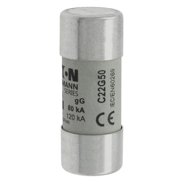Fuse-link, LV, 50 A, AC 690 V, 22 x 58 mm, gL/gG, IEC image 17