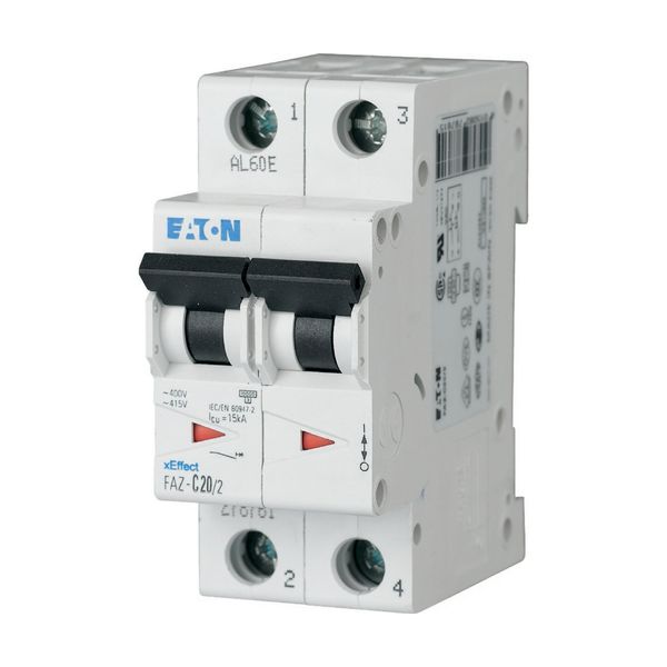 Miniature circuit breaker (MCB), 50 A, 2p, characteristic: D image 14