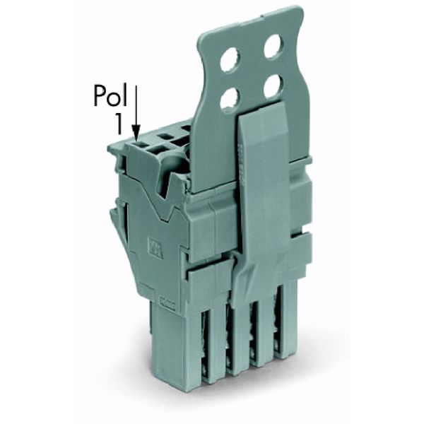 1-conductor female connector Push-in CAGE CLAMP® 4 mm² gray image 1