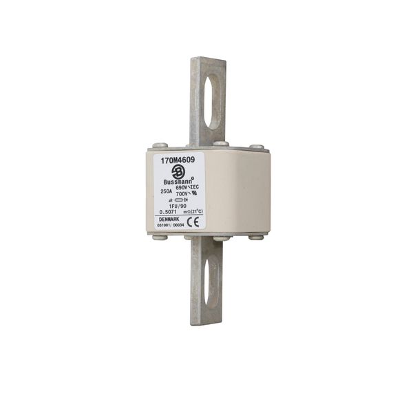 Fuse-link, high speed, 250 A, AC 690 V, size 1, 53 x 69 x 136 mm, aR, IEC, UL, no indicator, 90 mm centers image 7