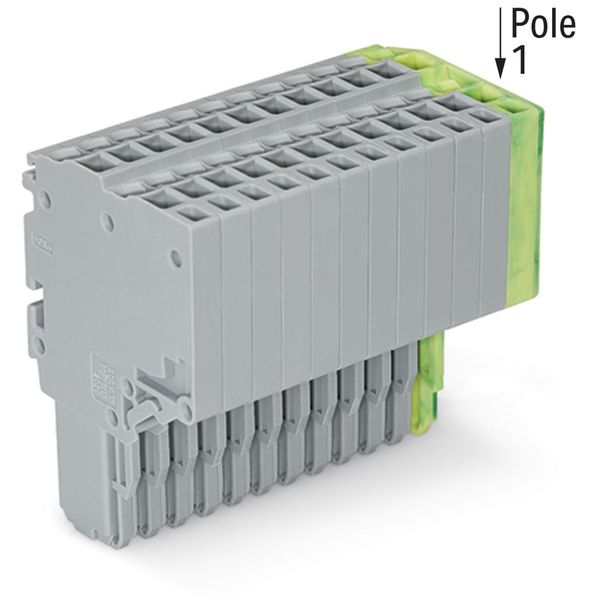 2-conductor female connector Push-in CAGE CLAMP® 1.5 mm² gray, green-y image 1