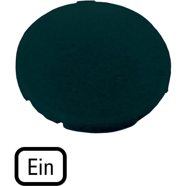 Button plate, flat black, EIN image 5