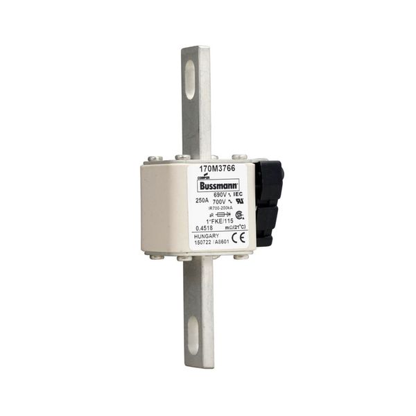 Fuse-link, high speed, 250 A, AC 690 V, compact size 1, 45 x 59 x 148 mm, aR, IEC, UL, single indicator image 12