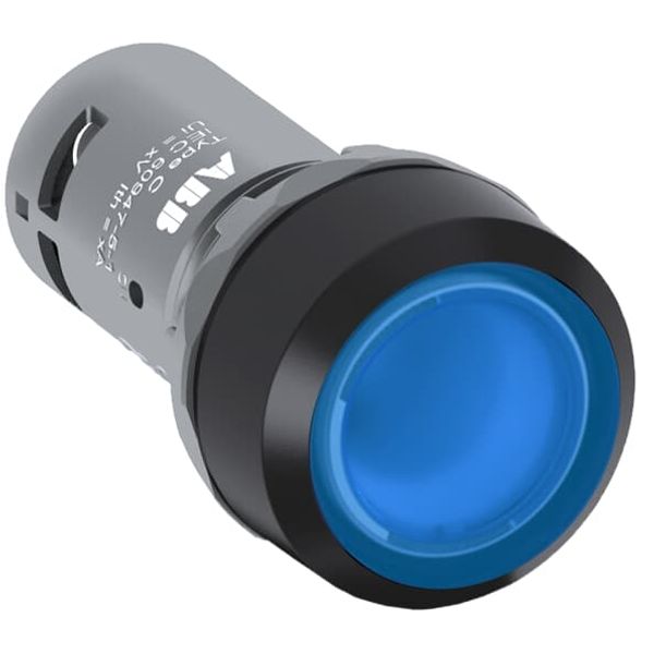 CP1-12L-10 Pushbutton image 4