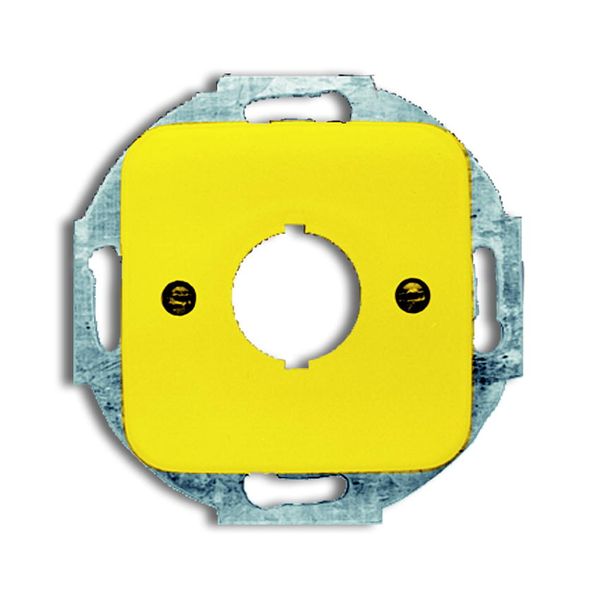 2533-214-15 CoverPlates (partly incl. Insert) carat® yellow image 1