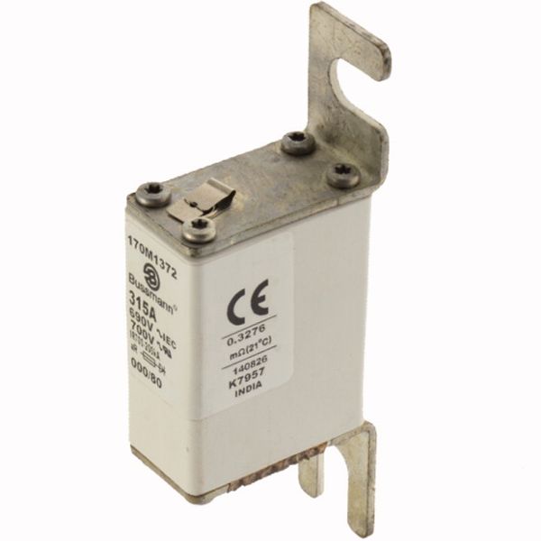 Fuse-link, high speed, 315 A, AC 690 V, DIN 000, 21 x 40 x 100 mm, aR, DIN, IEC, single indicator image 3